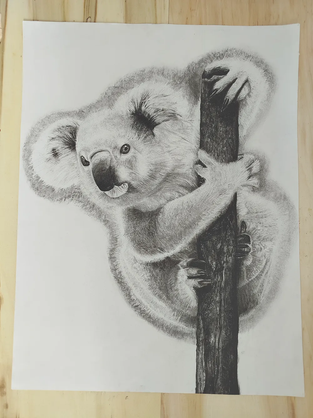 Dessin de koala en noir et blanc réalisé en 2017, présenté sans encadrement