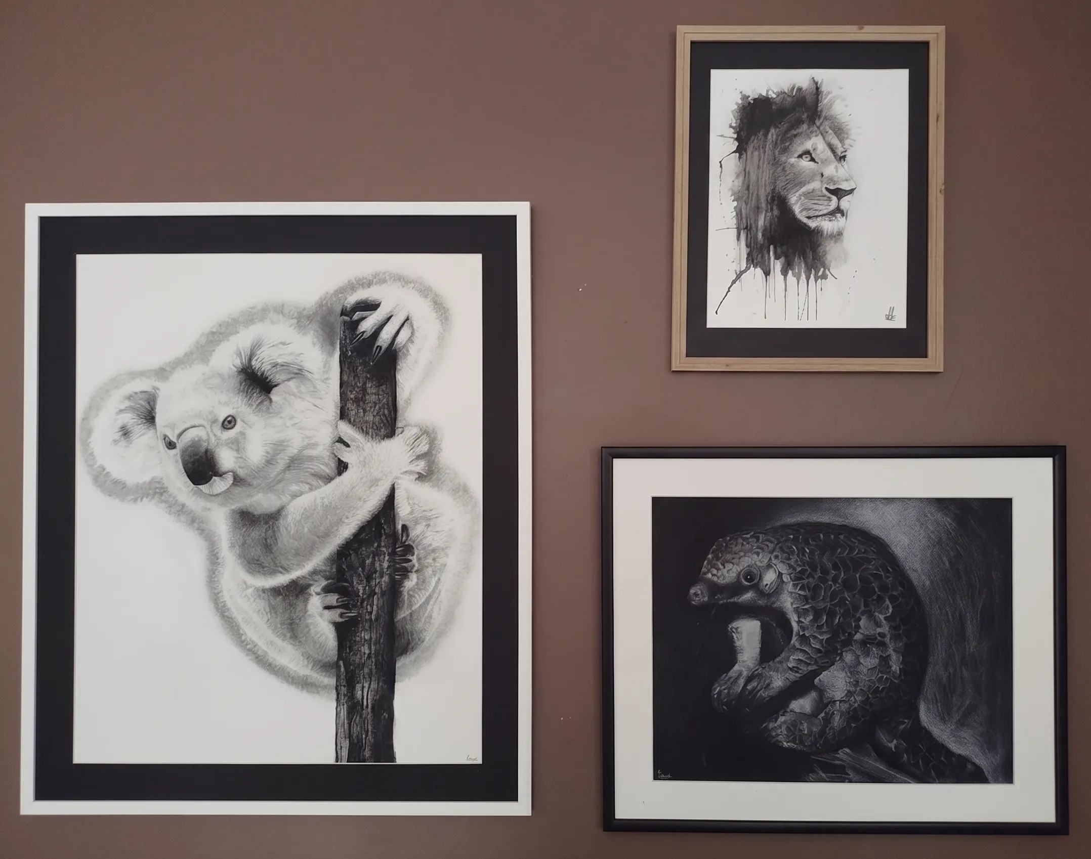 Trois œuvres encadrées : koala 2017, pangolin 2017 et lion 2025, exemples de mise en valeur par encadrement