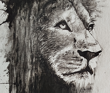 Lion — Aquarelle animalière — Not Just Animals, Jérémy MORIN